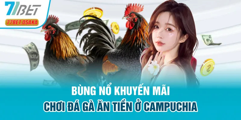 Bùng nổ khuyến mãi chơi đá gà ăn tiền ở Campuchia