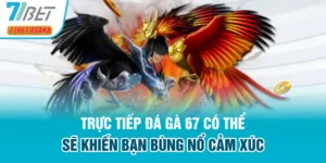 trực tiếp đá gà 67