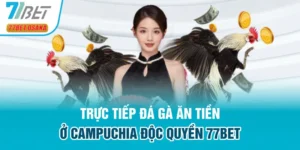 đá gà ăn tiền ở Campuchia
