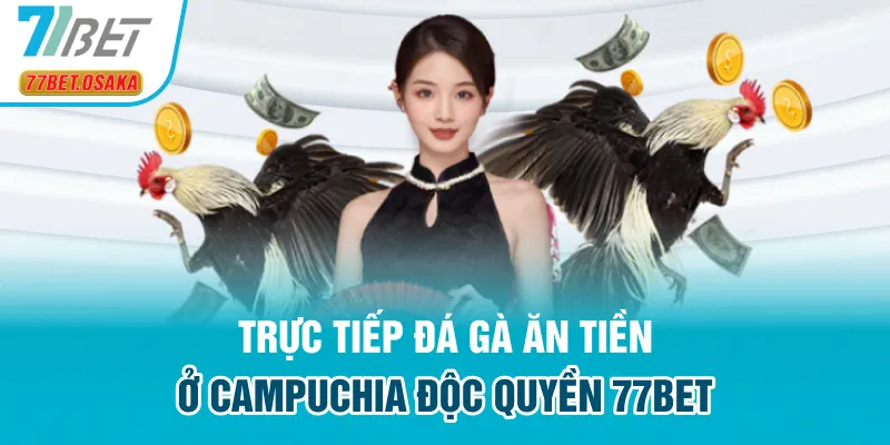 đá gà ăn tiền ở Campuchia